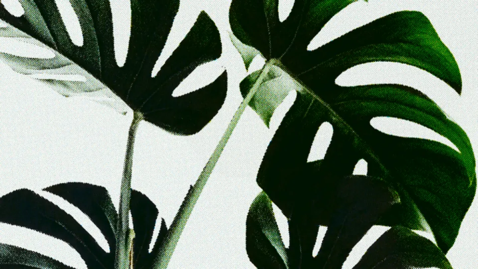 Color dither artwork created with PhotoShaders